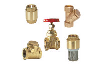 Check valves and gate valves